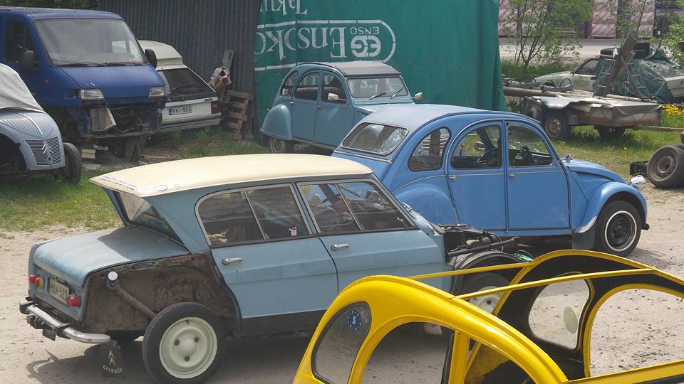 11329802_851491081591921_371821058249755757_n