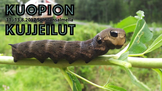 Kuopion Kujjeillut