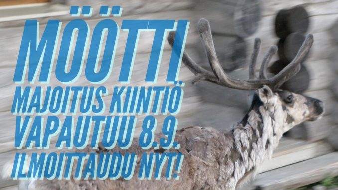 mootti-nyt-1