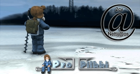nettipilkki